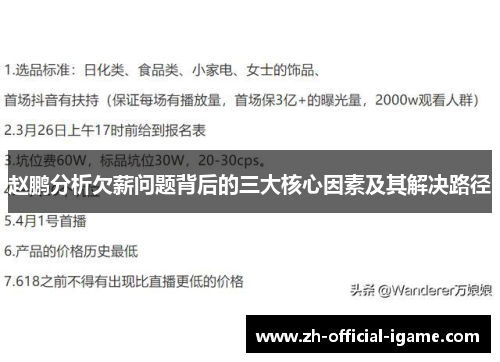 赵鹏分析欠薪问题背后的三大核心因素及其解决路径