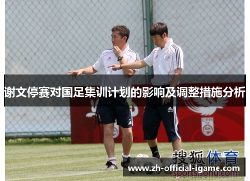 谢文停赛对国足集训计划的影响及调整措施分析 谢文停赛对国足集训计划的影响及调整措施分析
