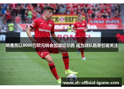 哈弗茨以8000万欧元转会加盟切尔西 成为球队新星引发关注 哈弗茨以8000万欧元转会加盟切尔西 成为球队新星引发关注